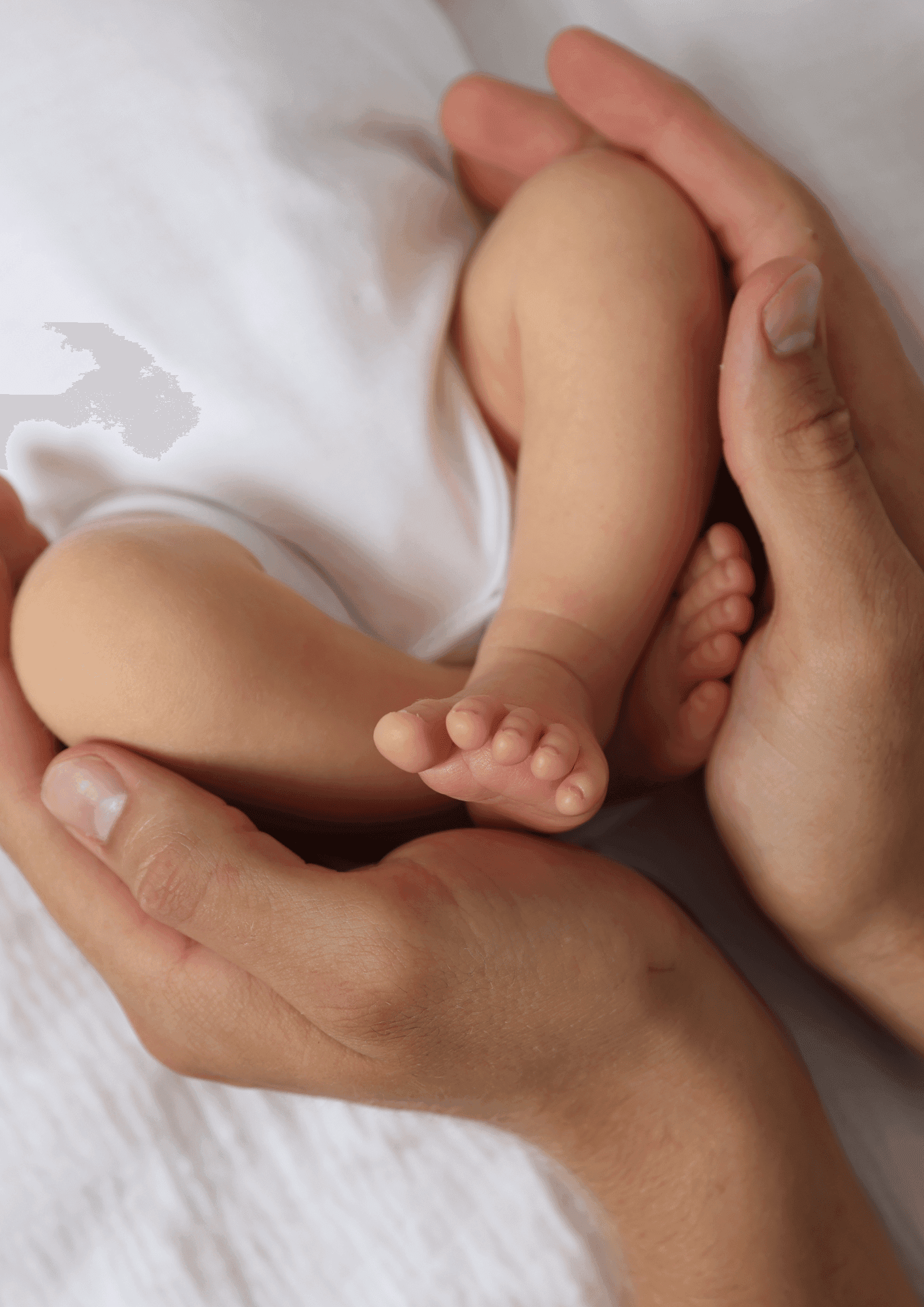 Fertility support at Biowell